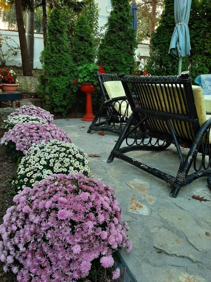 Apartment Queen Belgrade Exterior photo